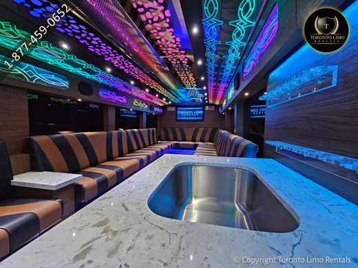 Party bus rental for birthday celebrations Image 9