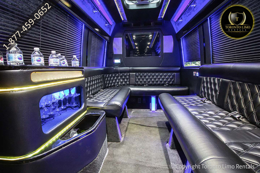 Party Bus Sprinter Image 4