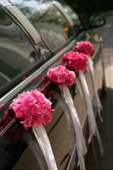 Free Quote Limousines from Toronto Limo Rentals
